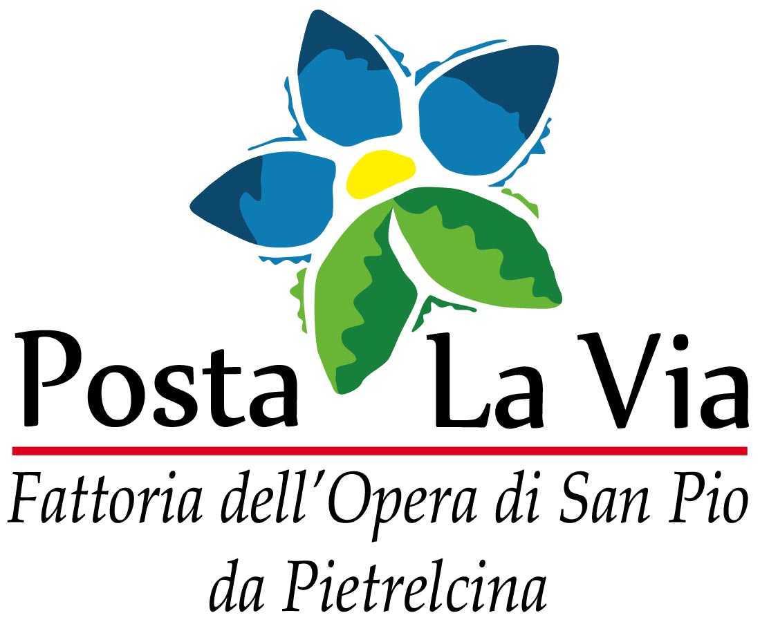 IMMOBILIARE CASA SOLLIEVO DELLA SOFFERENZA S.P.A.